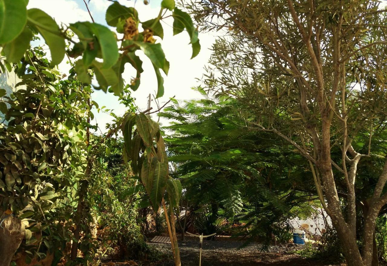 Casita Rural Molino De La Corte Antigua  Eksteriør bilde